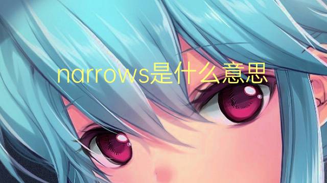 narrows是什么意思 narrows的翻译、读音、例句、中文解释