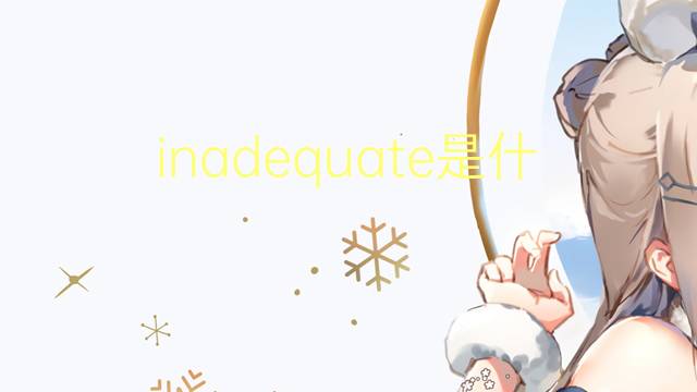 inadequate是什么意思 inadequate的翻译、读音、例句、中文解释