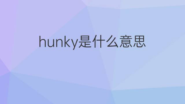 hunky是什么意思 hunky的翻译、读音、例句、中文解释