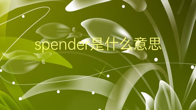 spender是什么意思 spender的翻译、读音、例句、中文解释