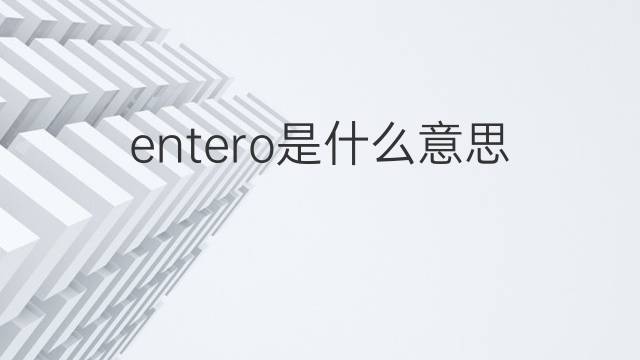 entero是什么意思 entero的翻译、读音、例句、中文解释