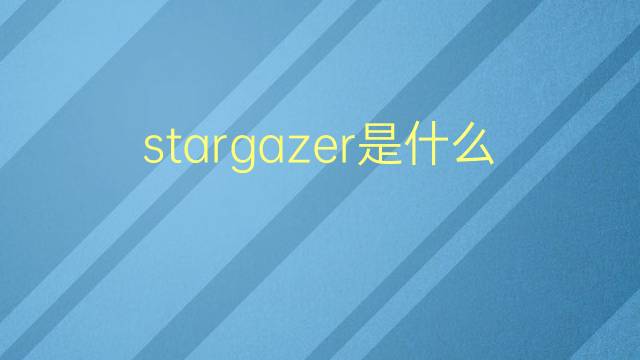 stargazer是什么意思 stargazer的翻译、读音、例句、中文解释