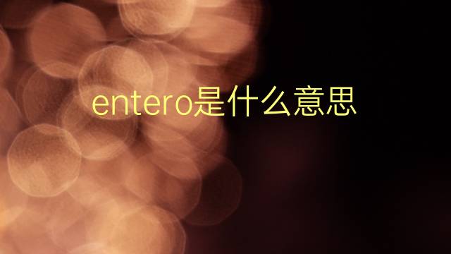 entero是什么意思 entero的翻译、读音、例句、中文解释