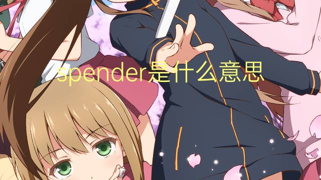 spender是什么意思 spender的翻译、读音、例句、中文解释