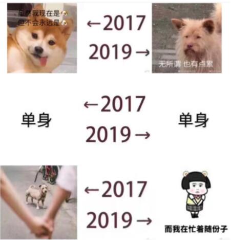 2017和2019的对比变化表情包_2017_2019对比图片素材分享