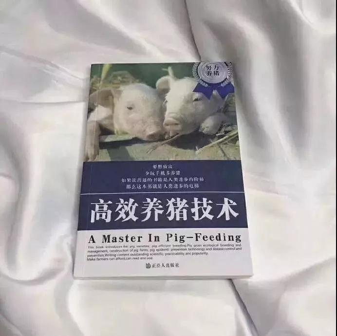 朋友圈背景图个性高清图片大全_2020抖音超火有趣朋友圈背景原图分享