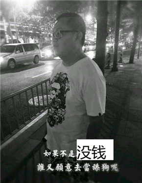 舔狗模式已开启 舔狗全套表情包下载