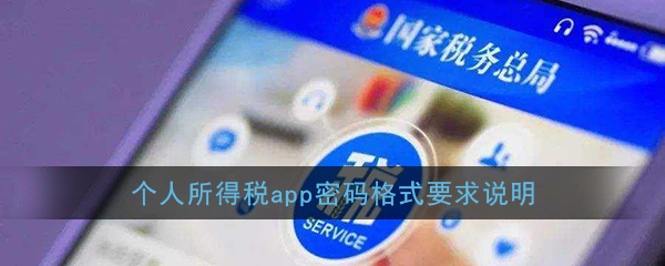 个人所得税密码格式要求是什么_个人所得税app密码设置要求说明