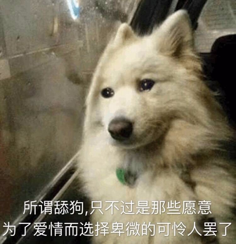 舔狗模式已开启 舔狗全套表情包下载