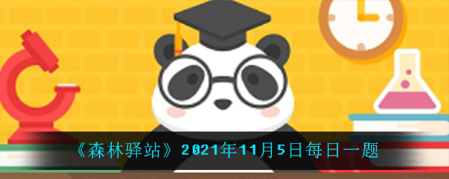 熊猫走起路来是什么样的_2021年11月5日每日一题