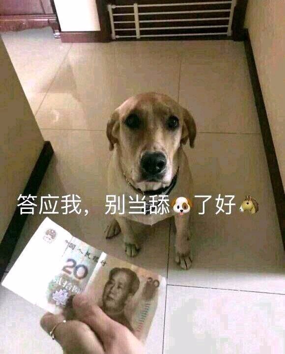 舔狗模式已开启 舔狗全套表情包下载