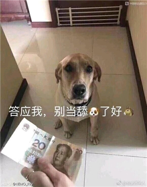 舔狗模式已开启 舔狗全套表情包下载