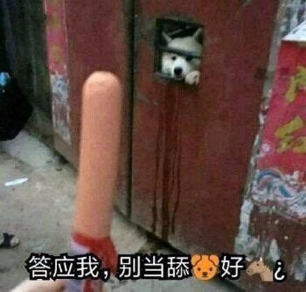 舔狗模式已开启 舔狗全套表情包下载