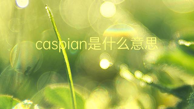 caspian是什么意思 caspian的翻译、读音、例句、中文解释