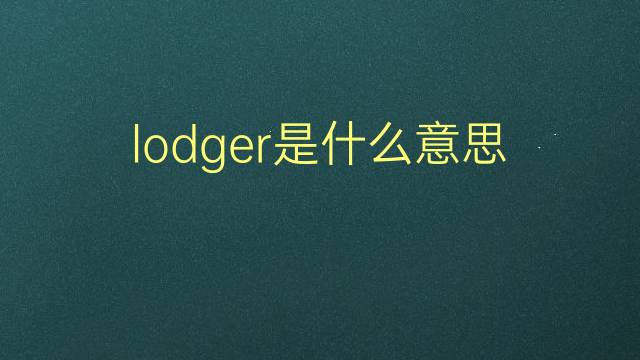 lodger是什么意思 lodger的翻译、读音、例句、中文解释