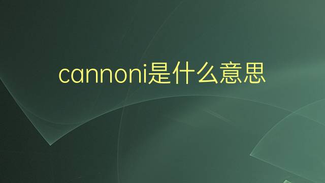 cannoni是什么意思 cannoni的翻译、读音、例句、中文解释