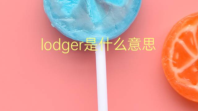 lodger是什么意思 lodger的翻译、读音、例句、中文解释