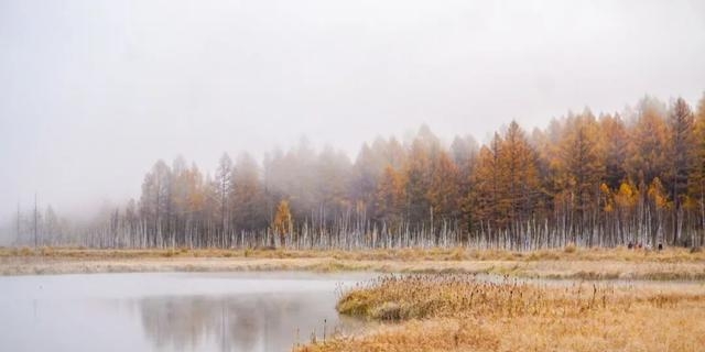 秋天的景象都有哪些（秋天最美的10个瞬间）