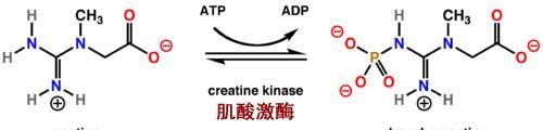 做完深蹲后大腿酸痛怎么快速缓解（冷热水交替疗法缓解酸痛）