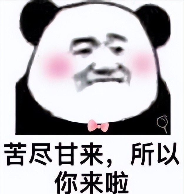 什么软件免费聊天交友(什么交友软件是免费的)