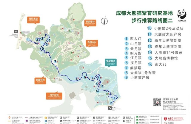 大熊猫繁殖基地游玩路线是什么（分享成都熊猫基地游园攻略）