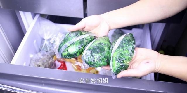 菠菜怎么保存新鲜不烂呢（家用菠菜正确的长久保存方法）