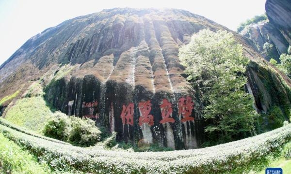 武夷山在哪个省呀（详细介绍中国武夷山及图片）