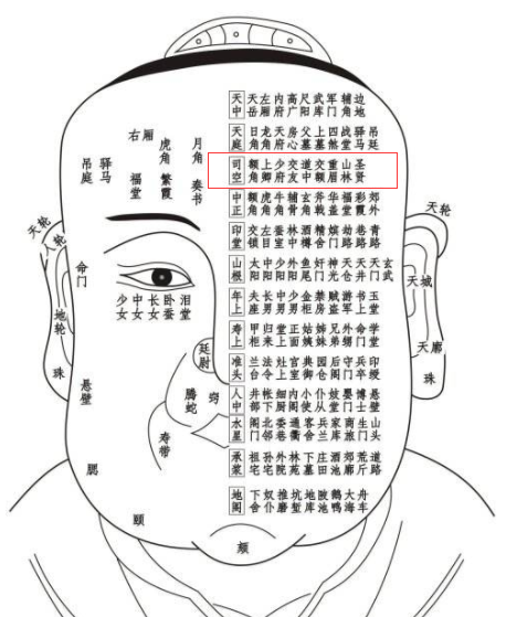 脸部各个部位名称叫什么（关于面部一百二十部位详解）