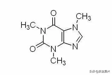 陈皮白茶对胃好吗（揭秘陈皮白茶到底伤不伤胃）