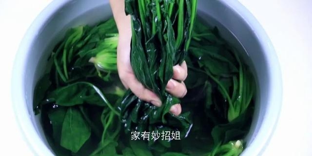 菠菜怎么保存新鲜不烂呢（家用菠菜正确的长久保存方法）