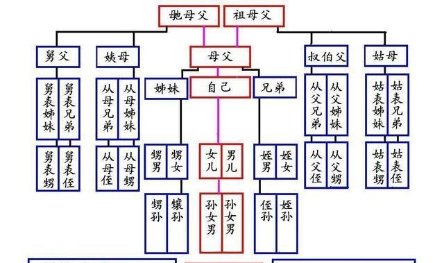 叔叔的老婆有几种称呼（祖宗十八代称呼大合集）