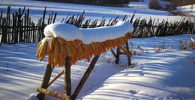 吉林雪乡具体在哪里呀（分享吉林雪乡绝美图片）