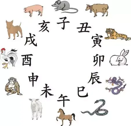 十二生肖的真实排名是什么（揭秘生肖序列的原因）