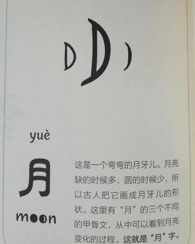 月字旁的字与什么有关（身体有关的字都有月字旁）