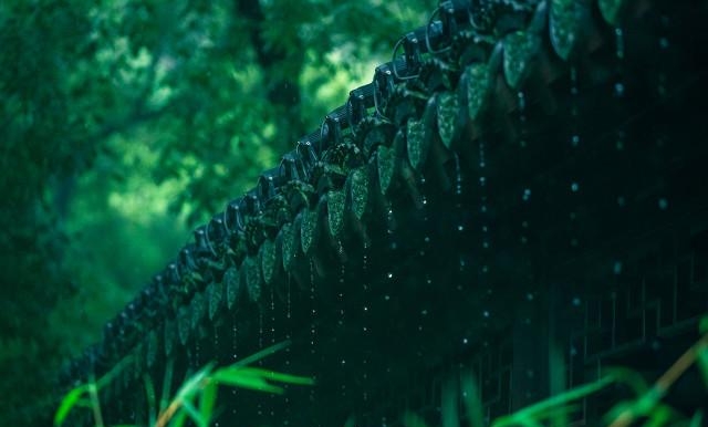 梅雨季节是什么意思呀（梅雨季节的由来及各地入梅时间）