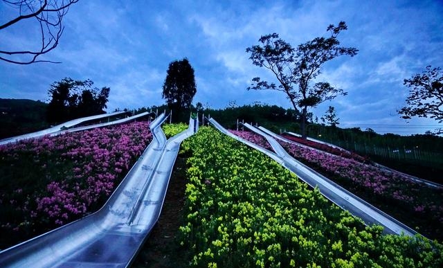 温州十大网红景点打卡地推荐（温州旅游好去处有哪些）