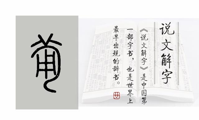 甯怎么读什么意思（说文解字课程详解）