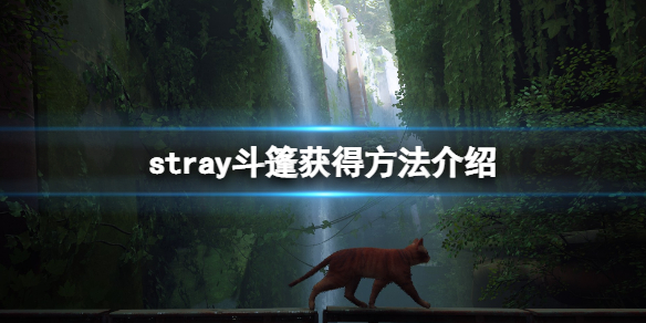 《迷失》stray斗篷给谁？斗篷获得方法介绍