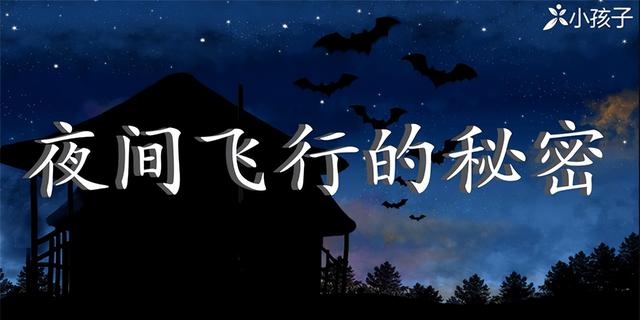 四年级语文夜间飞行的秘密问题（夜间飞行的秘密课文全解及预习资料）