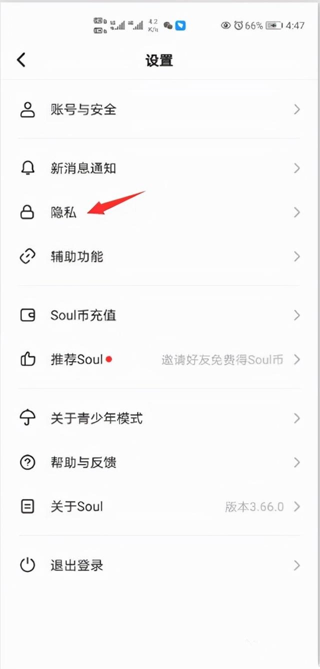 soul聊天软件介绍（Soul软件设置隐身的操作图解）