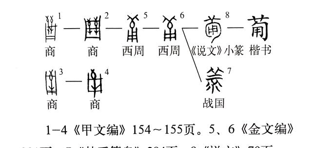 甯怎么读什么意思（说文解字课程详解）