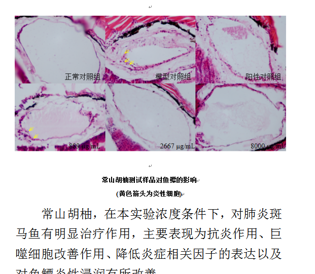 胡柚的功效与作用是什么（常山胡柚八大功效介绍）