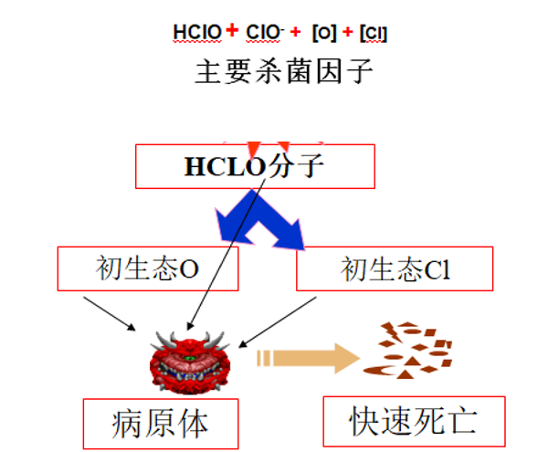 消毒粉有哪几种类型（如何放心使用消毒剂）