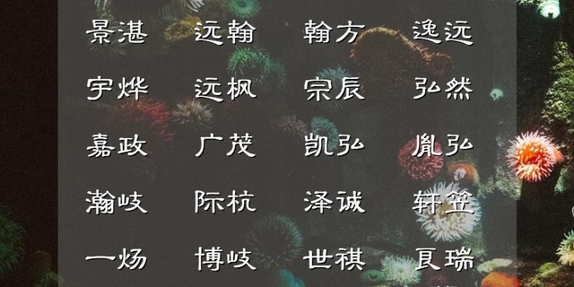 注定是小福星的虎宝宝名字(好听男孩阳光名字)