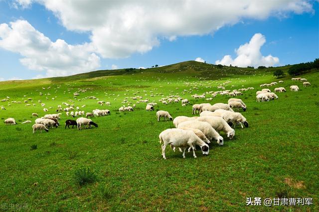 国内最值得去的旅游胜地大全（中国不去后悔的10大最美景区）