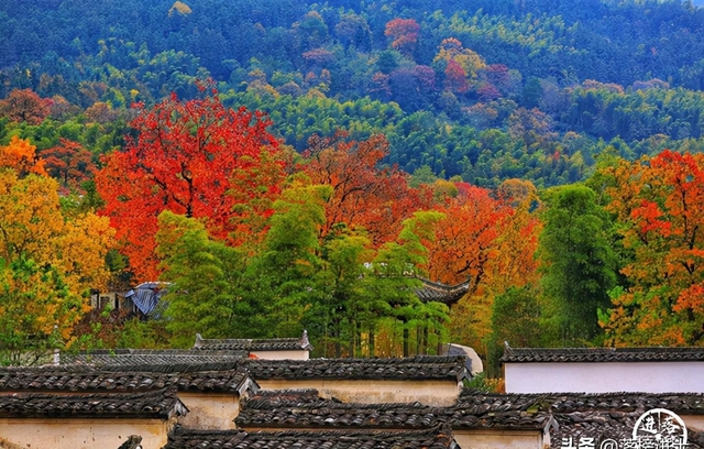 11月份去哪里旅游好玩（11月初去哪里旅游好）