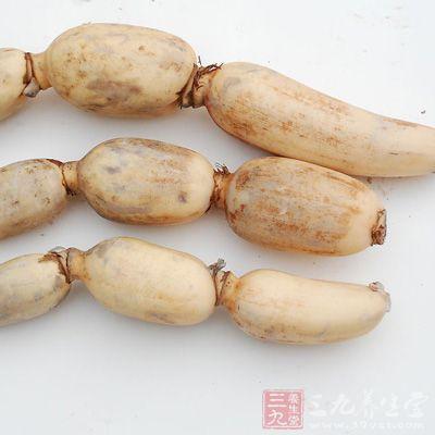 胃不好吃什么养胃呢（养胃的食物有哪些呢）