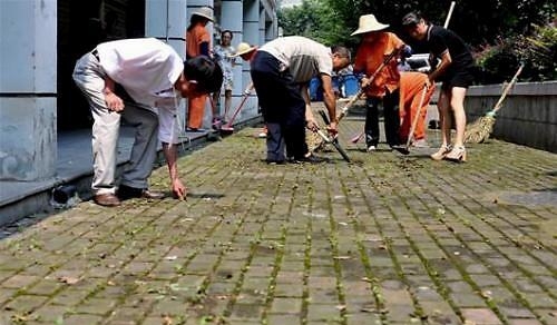 水泥地面的青苔怎么快速清除（道路上的苔藓清洗方法）