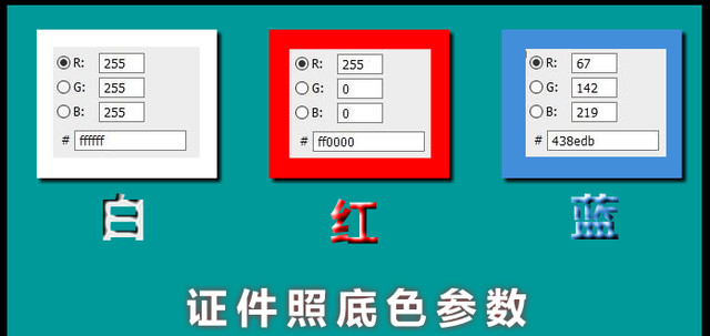 一寸照片尺寸像素是多少（介绍各种证件照的具体尺寸和颜色）