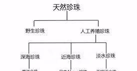 淡水珍珠和海水珍珠的区别在哪（海水与淡水珍珠的5个区别）